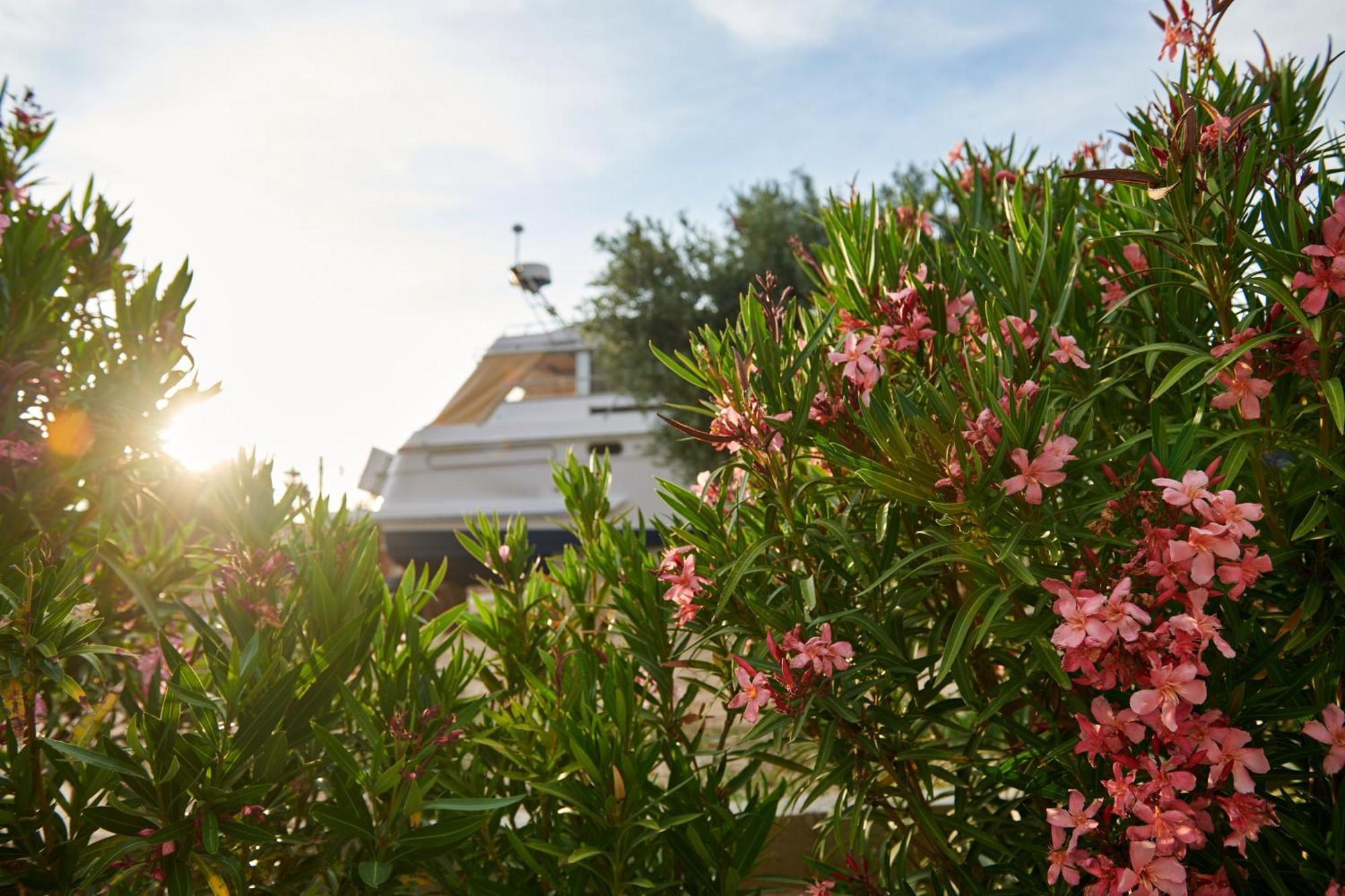 Cuchi-Barco Villa Morata de Tajuna ภายนอก รูปภาพ